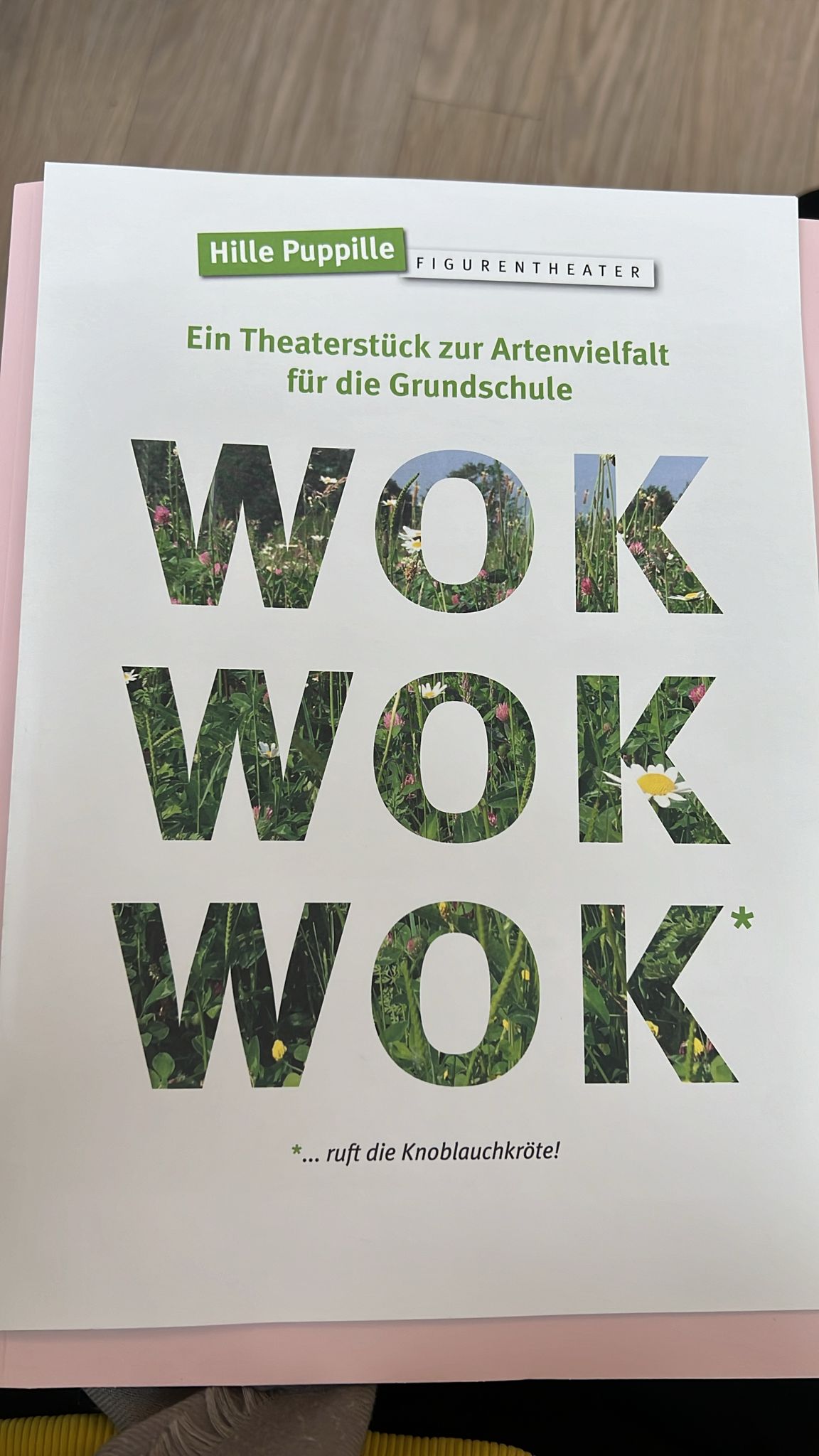 Förderverein bringt das Theaterstück WOK WOK WOK an die Ulrichschule